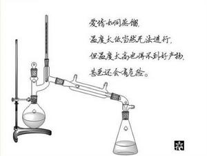 愛情化學反應[生物學]