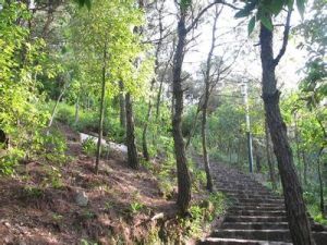 風雲嶺森林公園