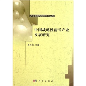 中國戰略性新興產業發展研究