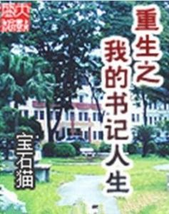 重生之我的書記人生