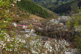 西牛峪村