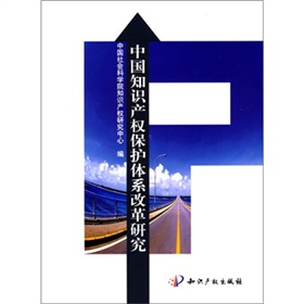 中國智慧財產權保護體系改革研究