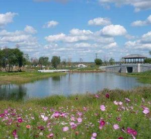 長東北城市生態濕地公園