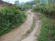 登東自然村村內道路