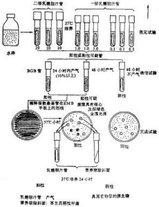 菌群總數測量方法