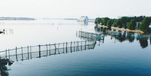 青甸湖村