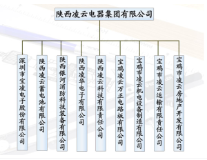 陝西凌雲電器集團有限公司