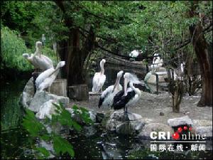 柏林動物園