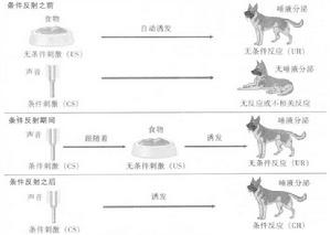 痕跡反射