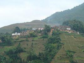 阿東村[雲南紅河州元陽縣俄扎鄉下轄村]