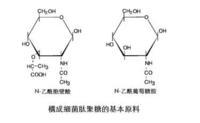 肽聚糖