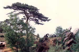 張家口虎窩山