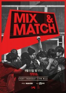 mixmatch