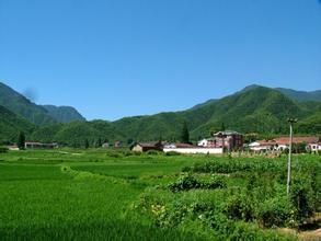 東大里村