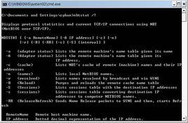 NBTSTAT命令