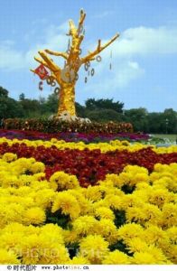 桂林七星公園