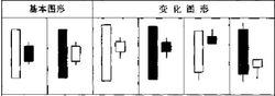 孕線變化