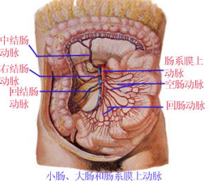 腸系膜囊腫