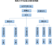 海南大學書法協會