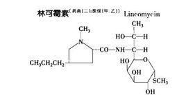 林可醯胺類