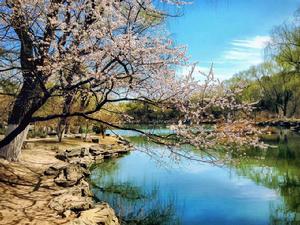 豐家赤草坡村 豐家赤草坡村