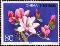 （4—4）T 紫玉蘭