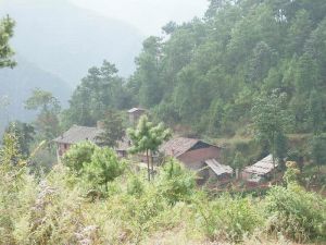 宣威市海岱鎮大栗樹村委會後山村