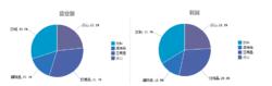 用FineReport製作的報表比率分析示例