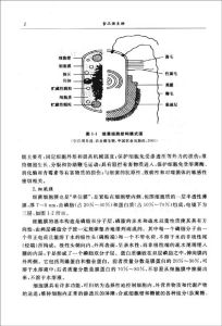 ：《食品微生物》