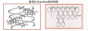 舞茸D-fraction的結構圖