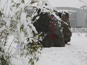 武漢軟體工程職業學院