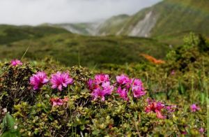 珠峰系