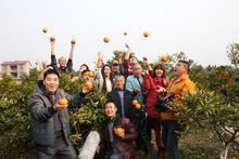 電影《藍風衣》劇照