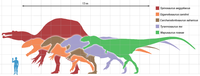 各種大型肉食恐龍比例圖，綠色的是馬普龍