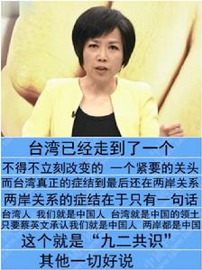 黃智賢[台灣女主持人、作家、政治評論員]