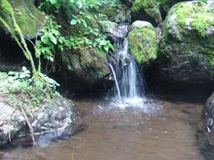 黃松峪國家森林公園景色