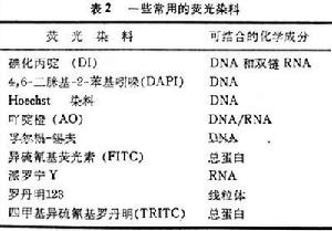 顯微鏡光度術