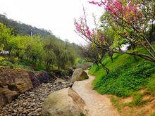 東坪山景點圖片