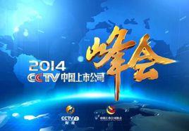 2014CCTV中國上市公司峰會