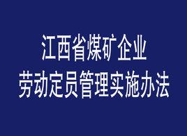 江西省煤礦企業勞動定員管理實施辦法