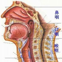 鼾症康復湯