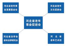 河北省老年事業促進會機構組成