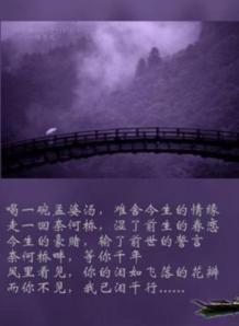 奈何橋上[網路小說]