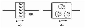 空間電荷極化