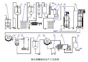 酶製劑