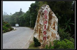 大魚塘村[雲南省紅河元陽縣逢春嶺鄉大魚塘村]