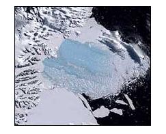 　拉爾森3200平方千米冰架坍塌