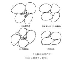 膠結作用