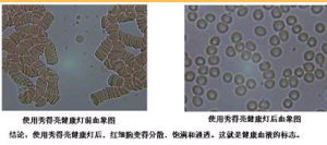 秀得亮健康燈