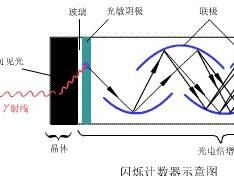 打拿極